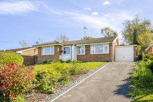 Photo 17- click for photo gallery